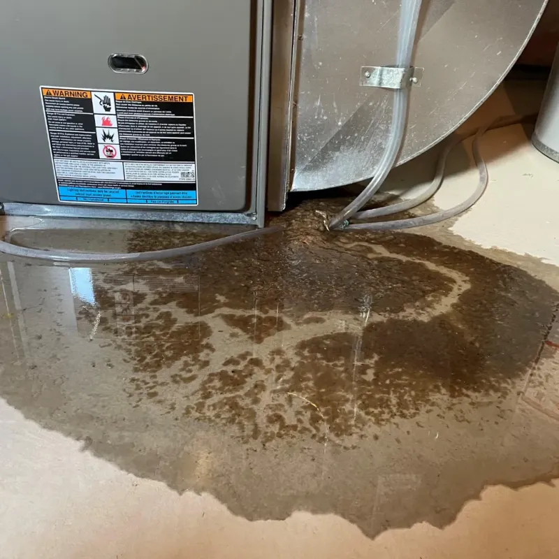 Appliance Leak Cleanup in Monteagle, TN